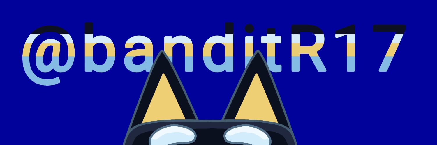 banditR17 banner