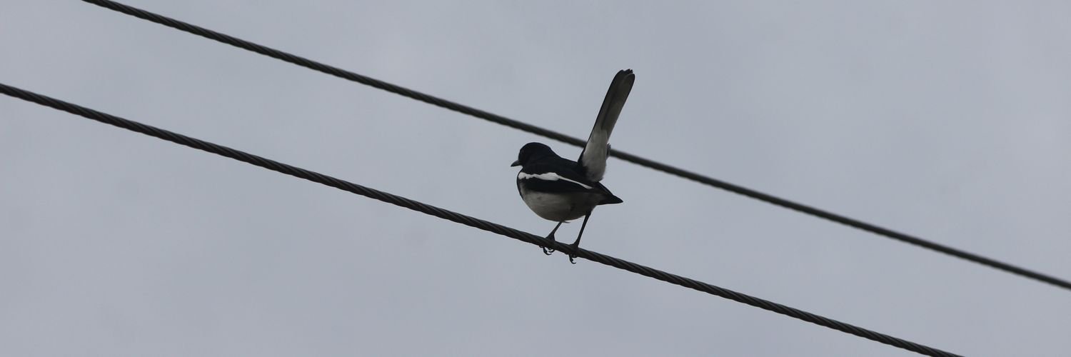 🇮🇳Tathagata 🔆 banner