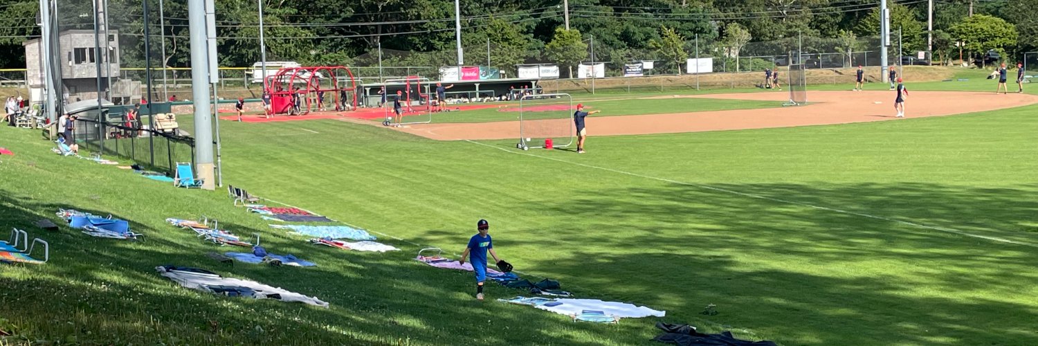 Matthews Baseball Development banner