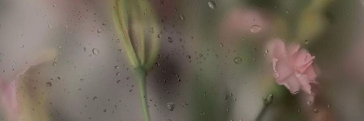 airaaasoft's profile banner image
