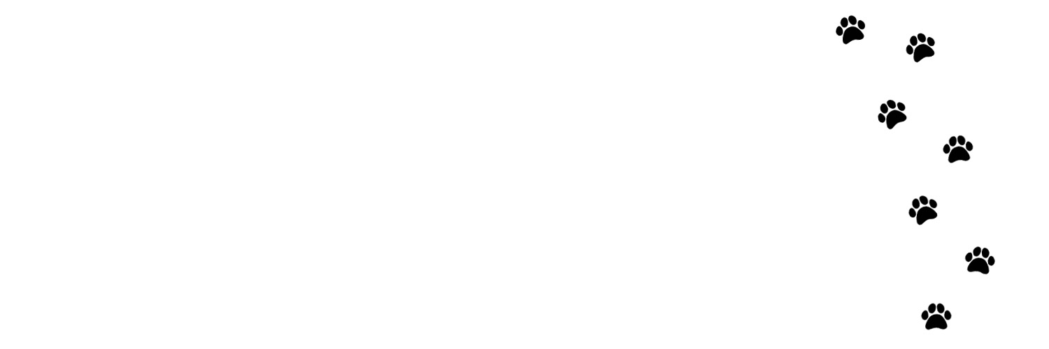 Meowloop_Studio banner