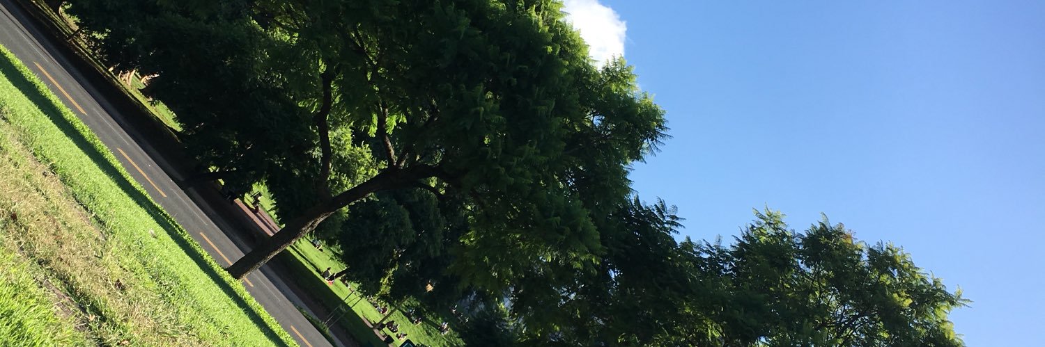 lauritox82's profile banner image