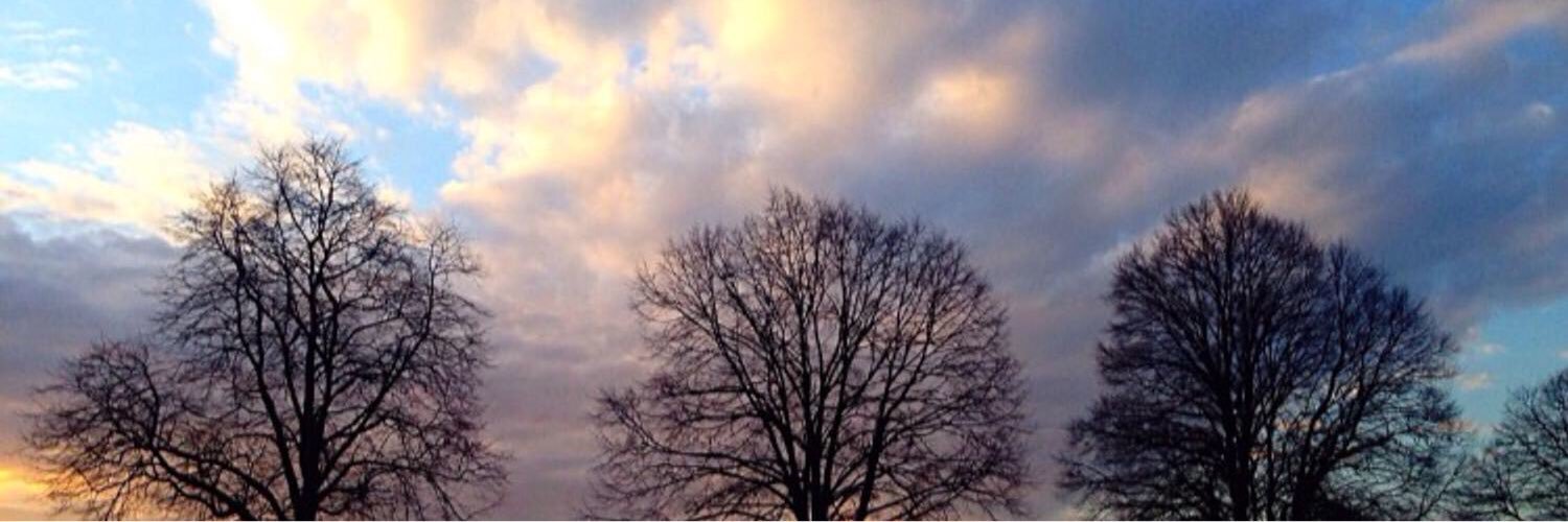 ayomyeisha's profile banner image