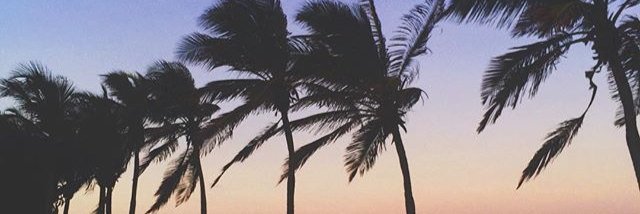 EmanueleLiborio's profile banner image