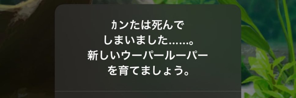 そうちゃ banner