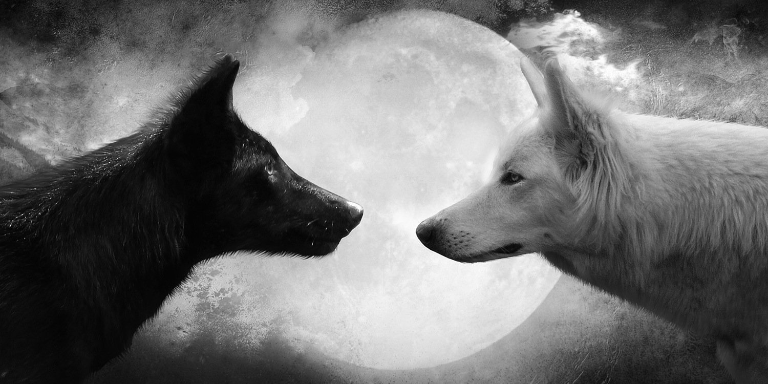 joshpc97's profile banner image