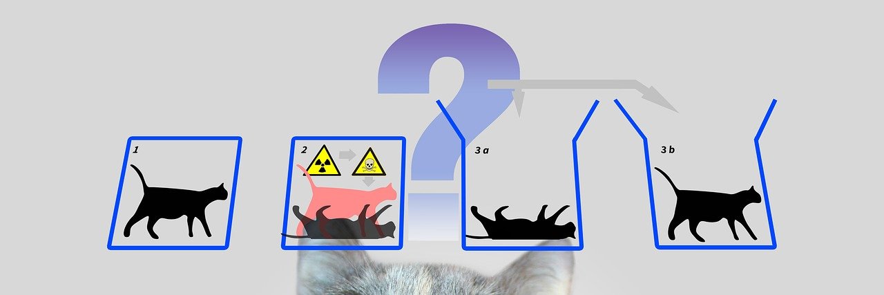 coinwizard46's profile banner image