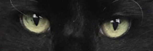 xxlar63xx's profile banner image