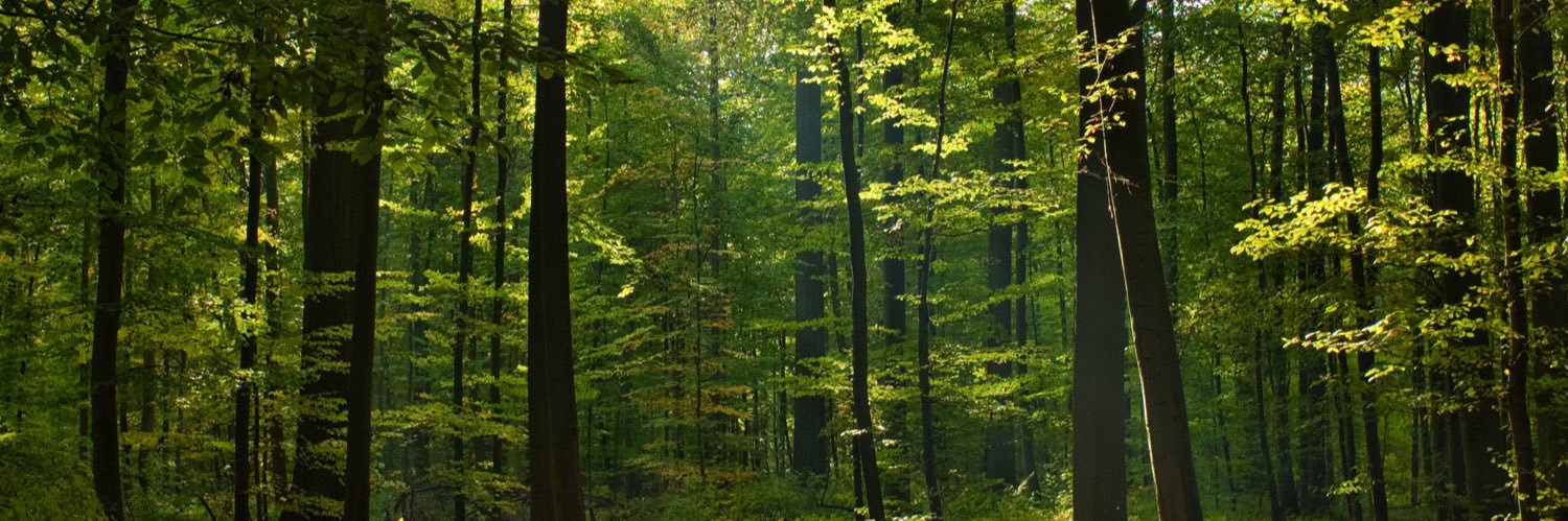 digao_ok's profile banner image