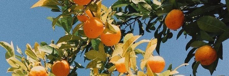 세계 世界 banner