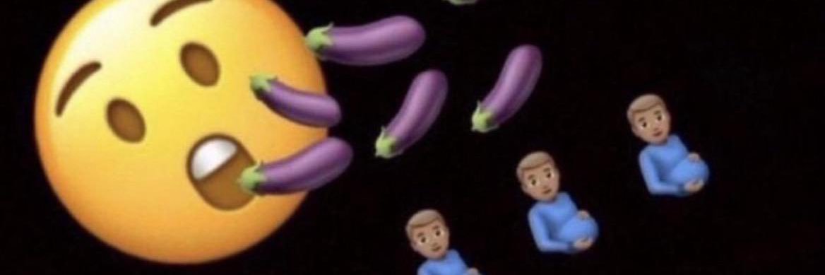 PROUD GOYIM CROSS HATER banner
