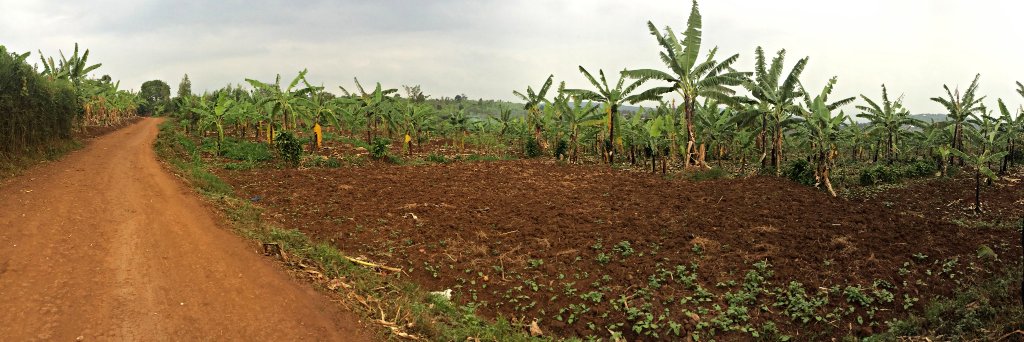 Keith B. Ives banner