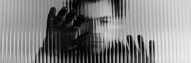 lily ݁ kissco 🪩 banner