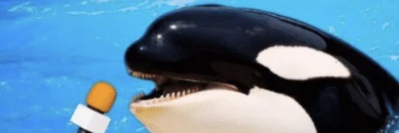 BlueInkAlchemy's profile banner image