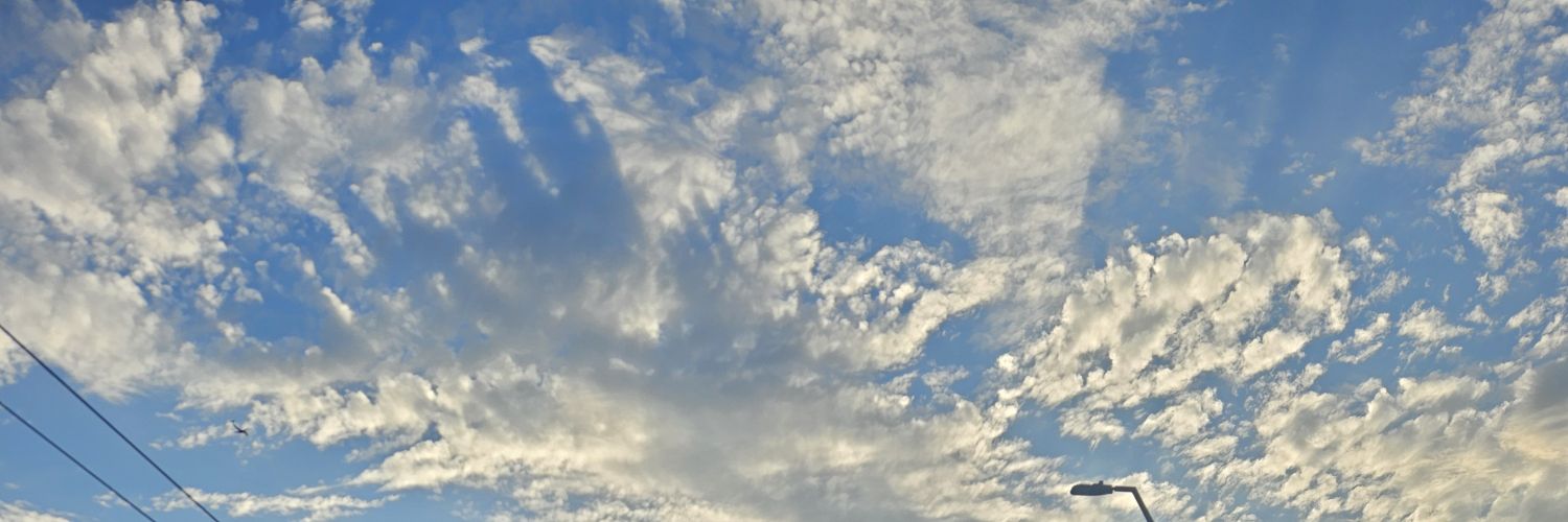 Shriv banner