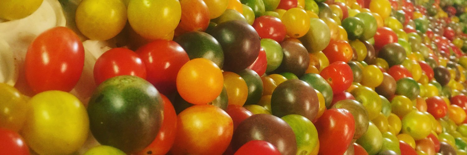 michael_borek's profile banner image