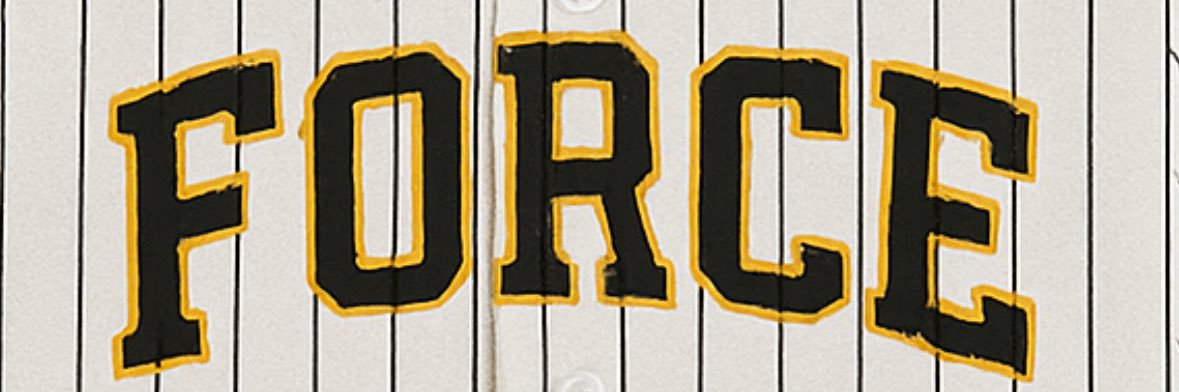 SAFCAForce's profile banner image