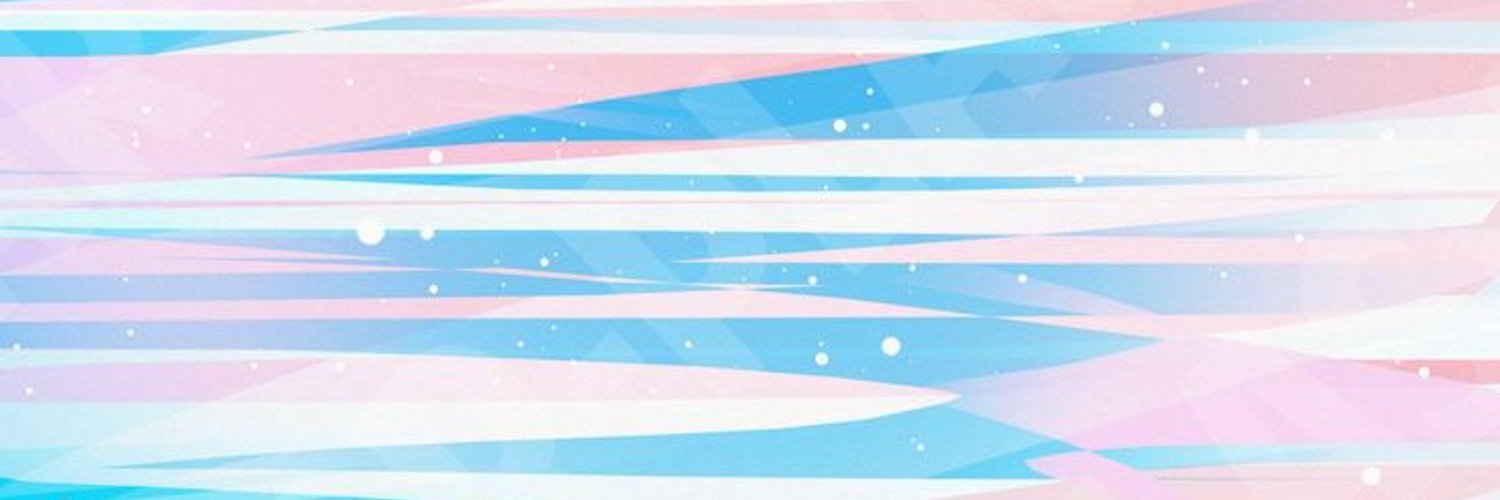 TRANS PARADIS banner