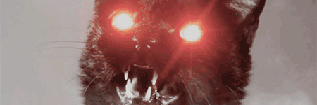 schuch's profile banner image