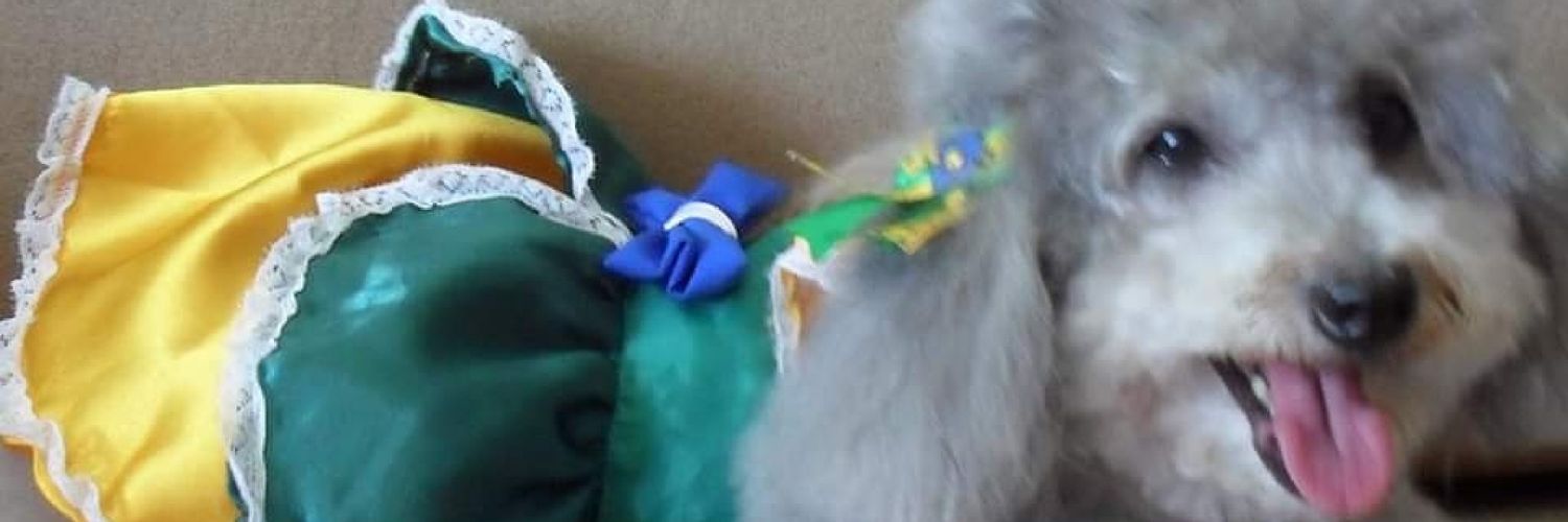 delfinasm's profile banner image