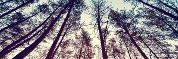 TaylorAltier Profile Banner