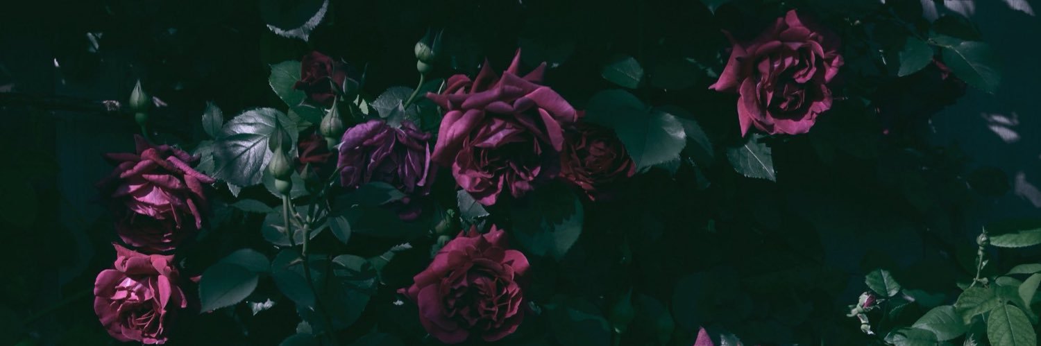 ミザリィ🎀⚰️🌙🌸🍬 banner