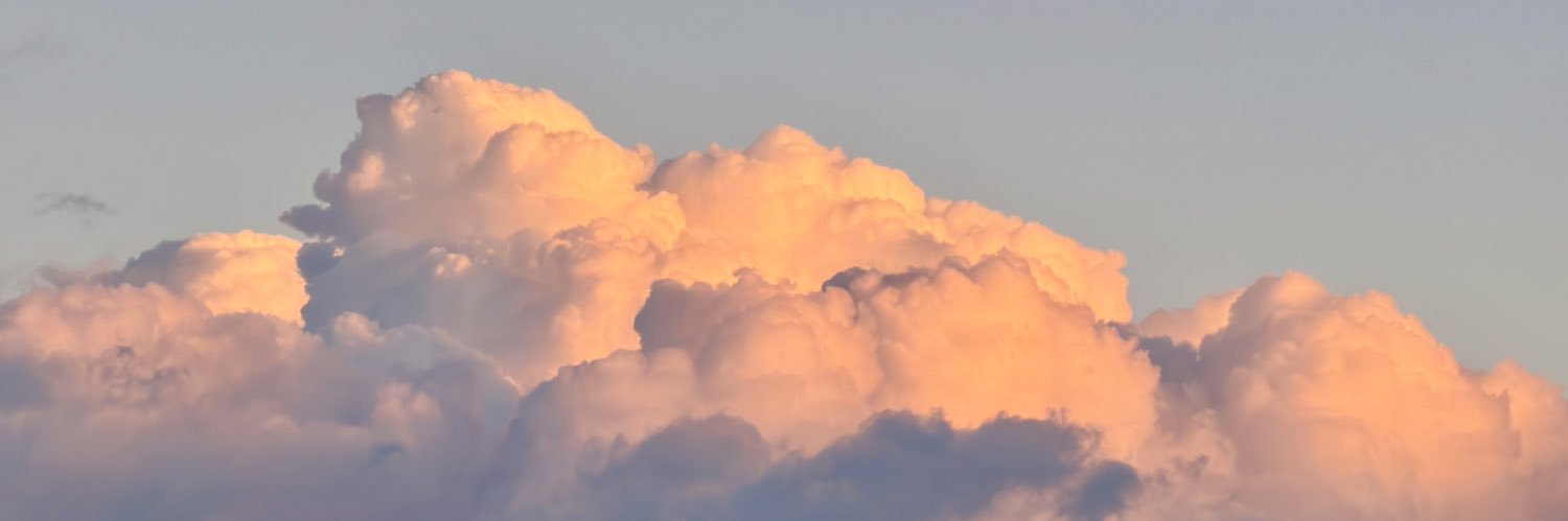 bee_rkive's profile banner image