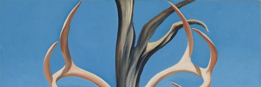aameliaadaa's profile banner image