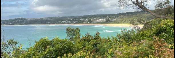 lawrence mitchell banner