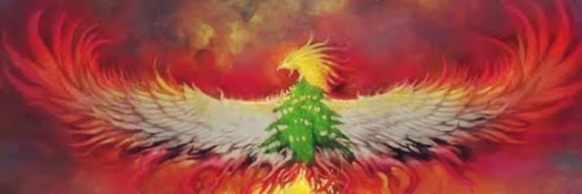 ΦΦMulberrytootΦΦ banner