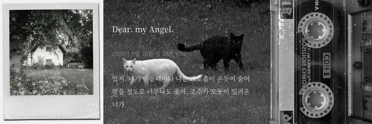 Dropsoftmilk's profile banner image