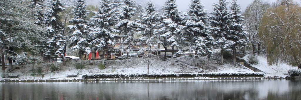 dilijan's profile banner image
