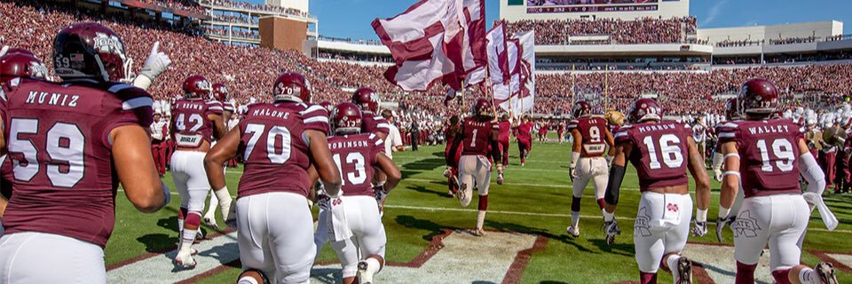 Anna Williams banner