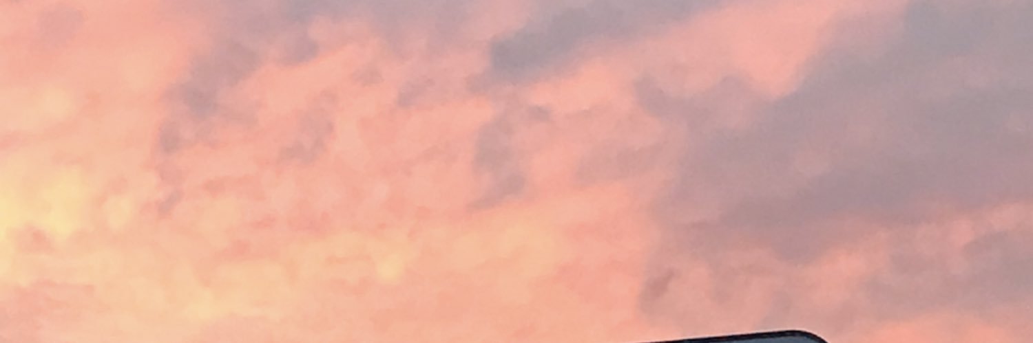 BtiJane's profile banner image