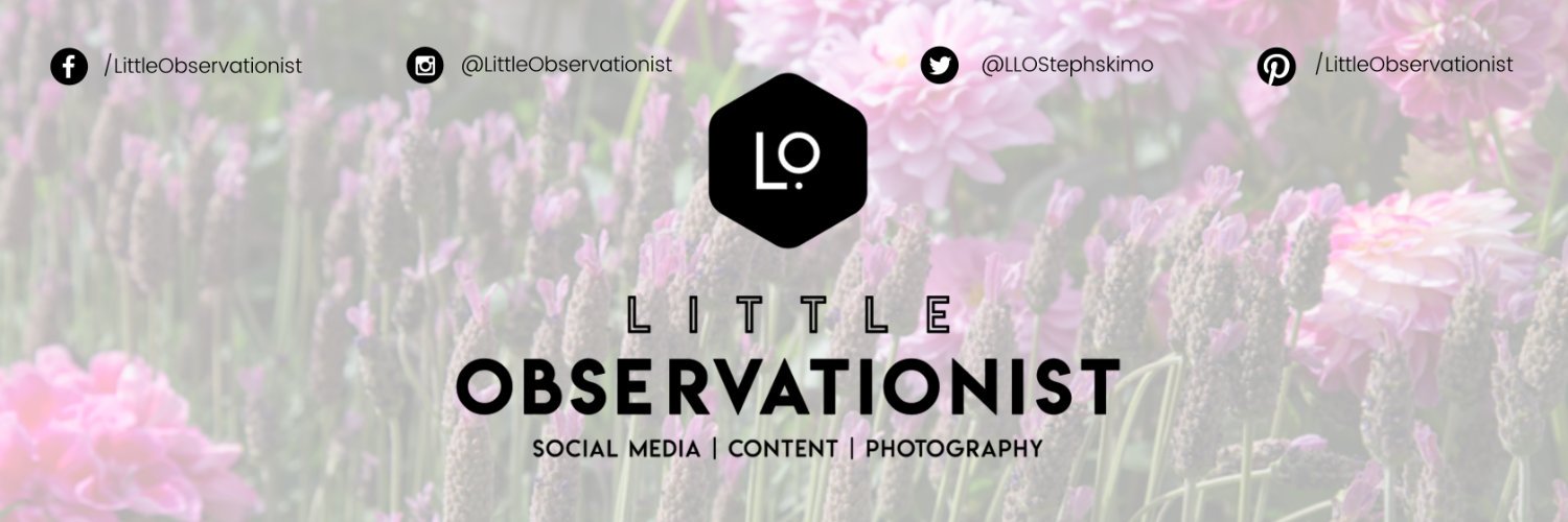 LLOStephskimo's profile banner image