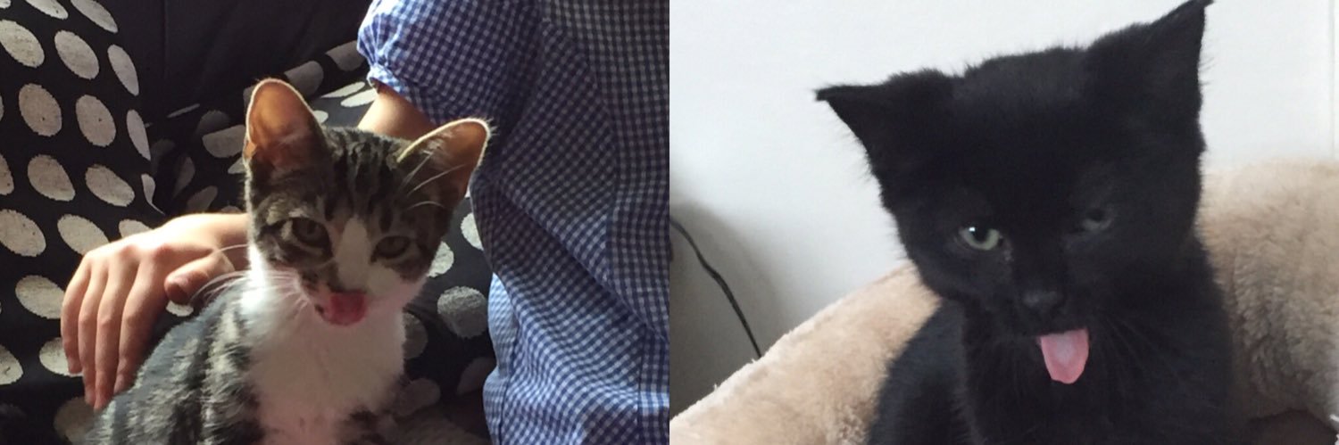 Samantha Webster banner