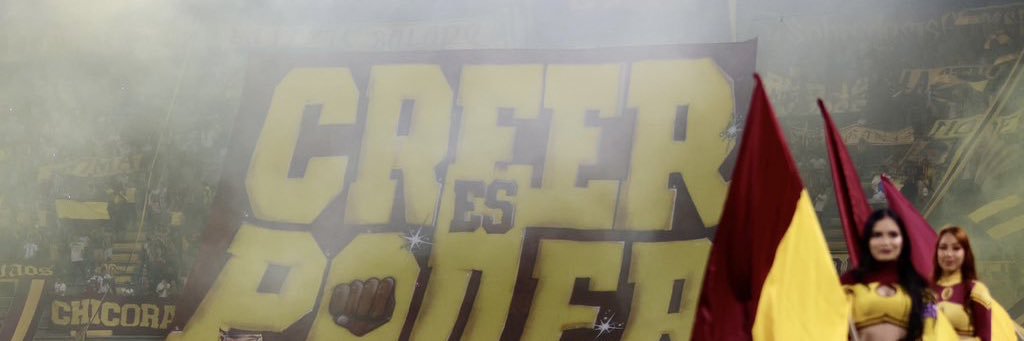 Anderson Bejarano (Lupi)⭐⭐⭐ banner