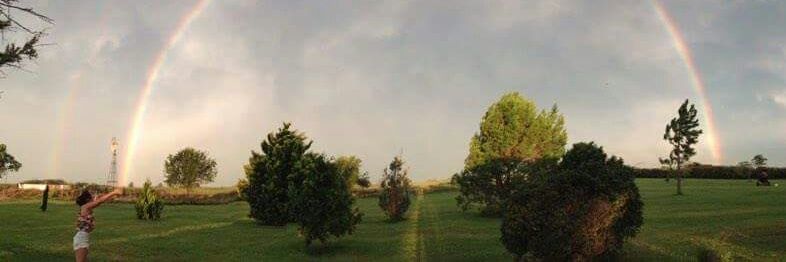 Delfi Guerra banner