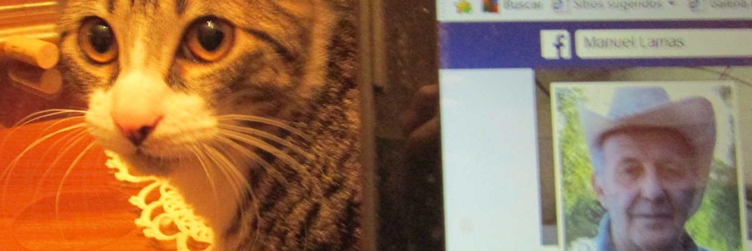 ManoloLamas's profile banner image
