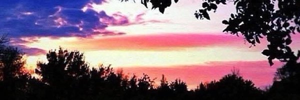 pamadkisson Profile Banner