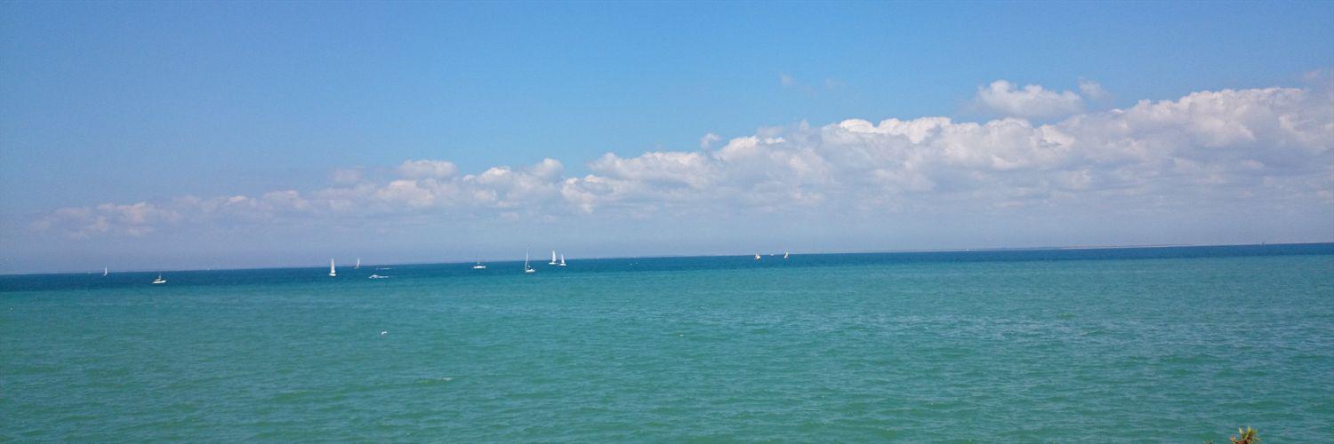 Charlotte Needham banner