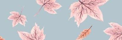 bbelgania's profile banner image