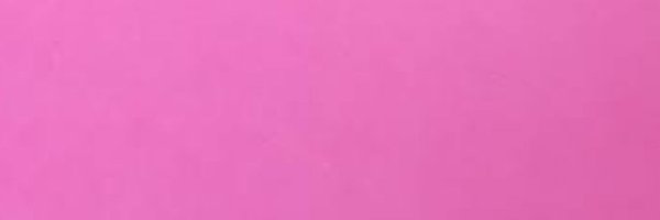 chickverse Profile Banner