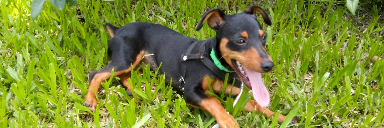 PabloYo. banner