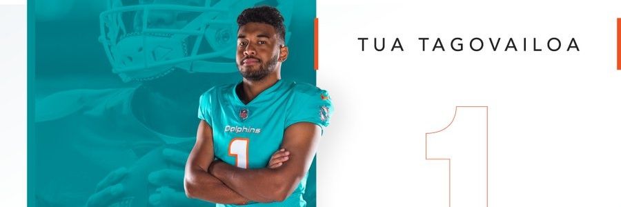 Dolfan40 banner