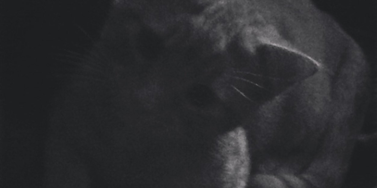 _itsleah_'s profile banner image
