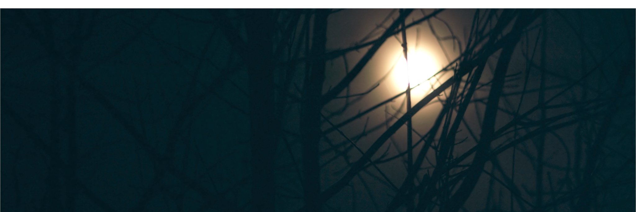 gordonhumphrey's profile banner image