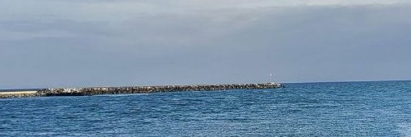 ViralManager Profile Banner