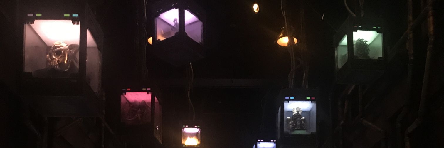 sabrinalstrange's profile banner image