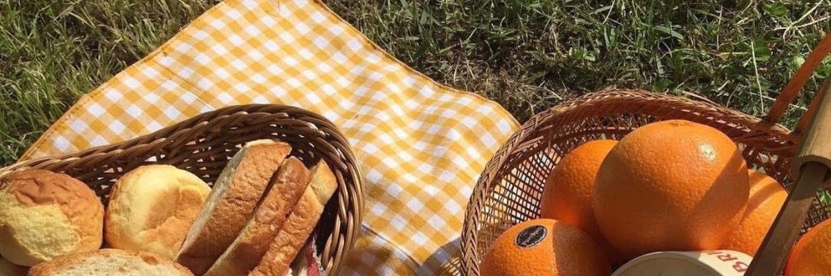 toast ! 🍞✨ banner